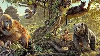 奇幻森林完整版在线观看,探索未知世界的奇幻之旅